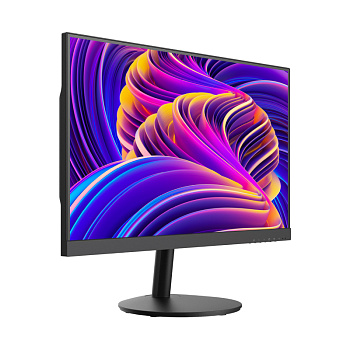 Hikvision DS-D5224F2-1V1S Монитор цветной (23.8")